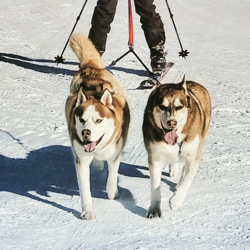 Staff member AMANDA LEWIS