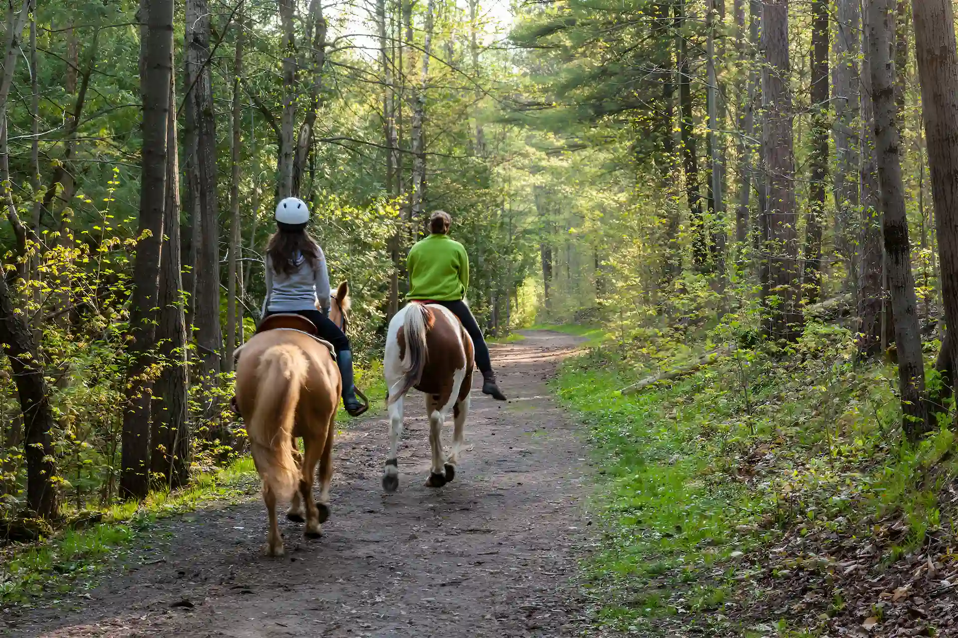 Things To Do HORSEBACK RIDING