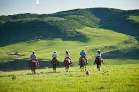 Thing To Do Horseback Riding