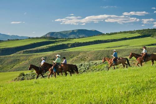 Thing To Do Summer Activities