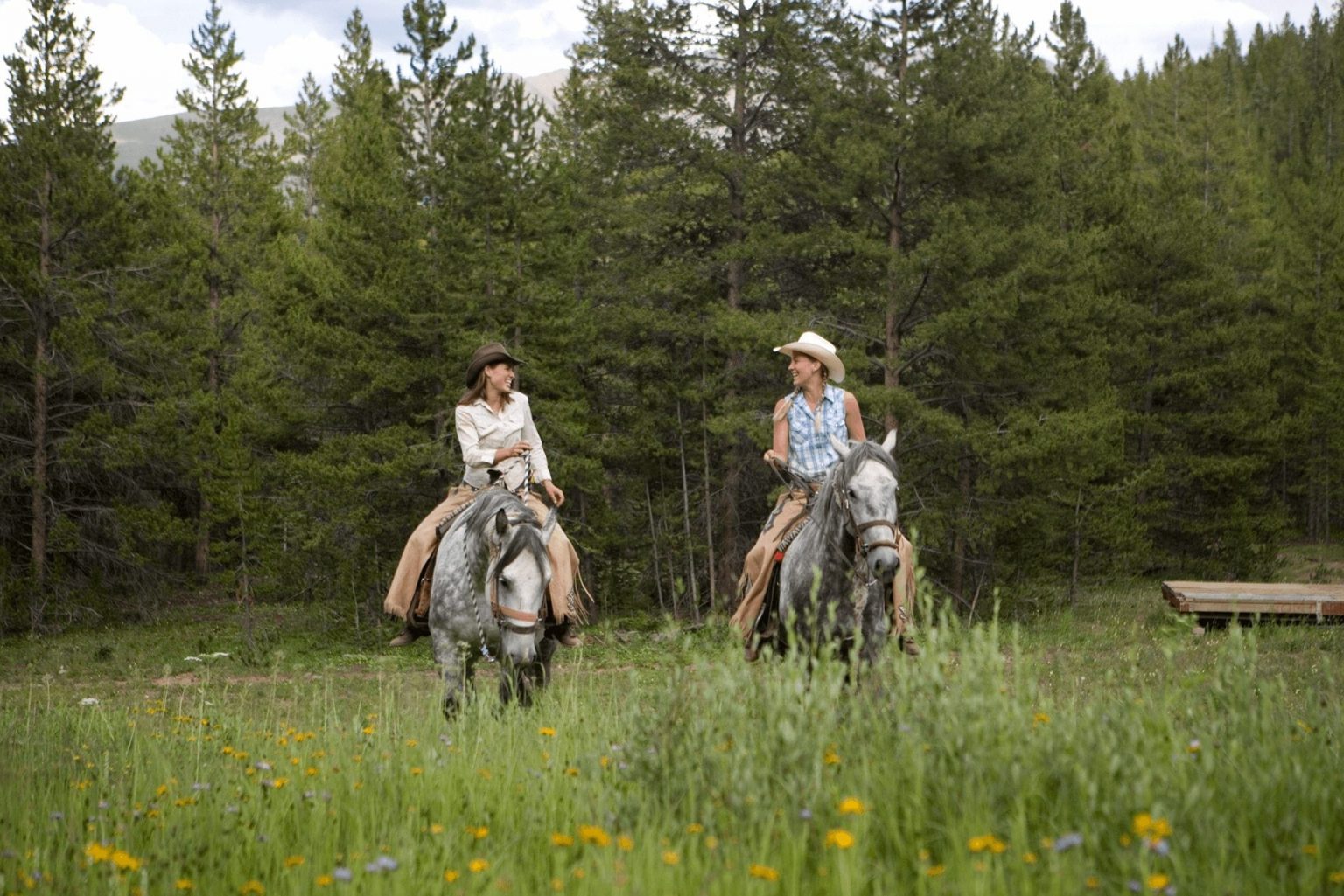 Things To Do Horseback Riding